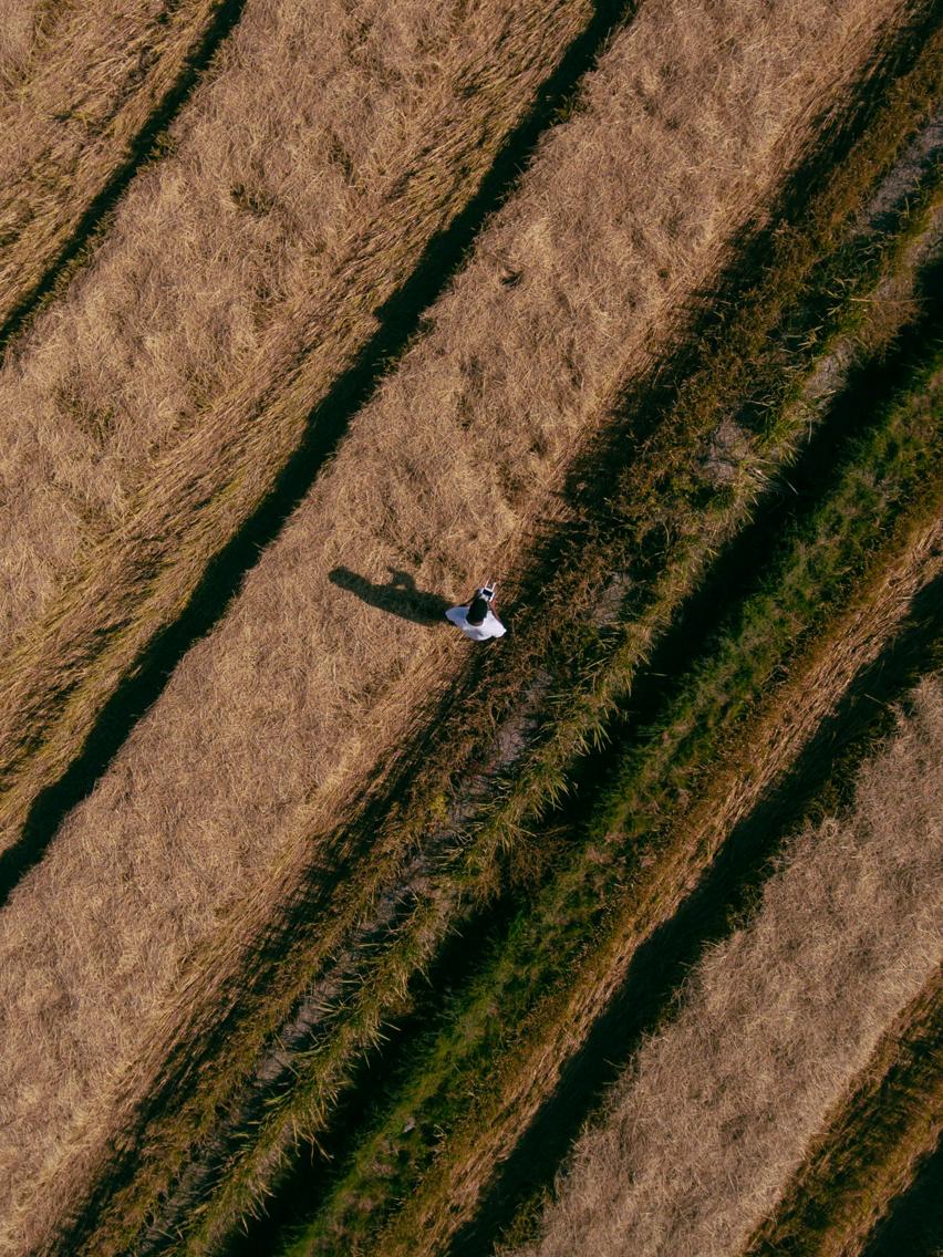 ¿Es DJI el único dron prohibido?